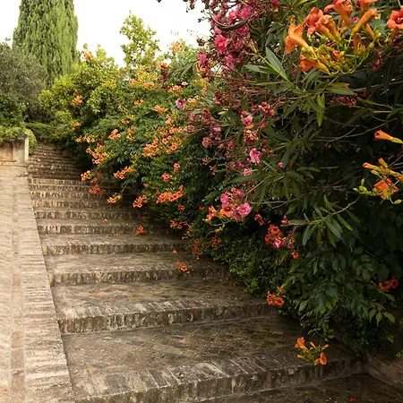Dei Desideri Bed & Breakfast