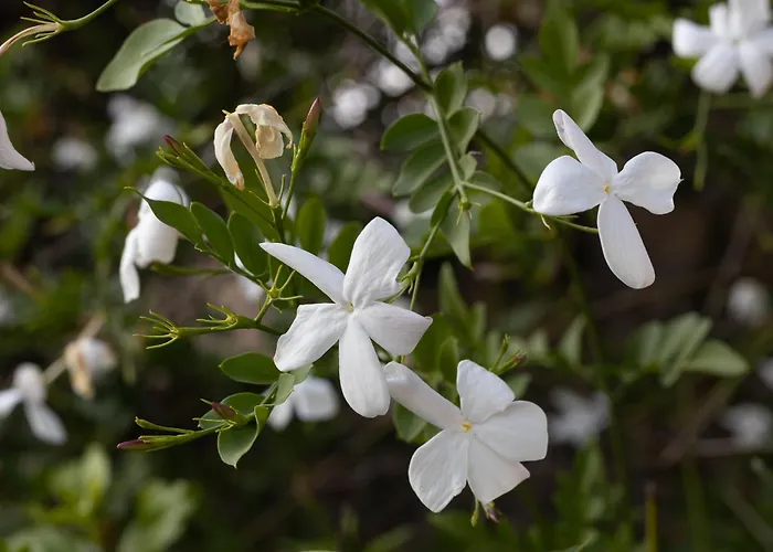 Bed & Breakfast Dei Desideri Chieti