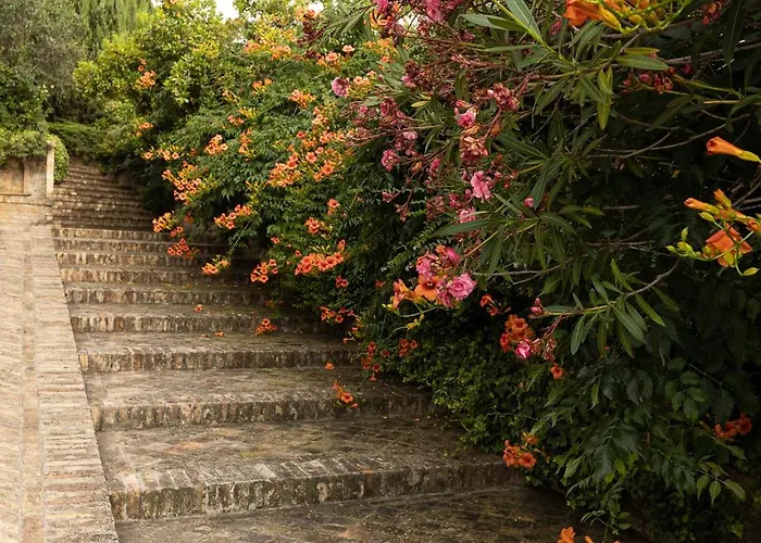 Dei Desideri Bed & Breakfast