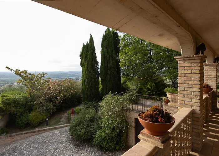 Dei Desideri קייטי